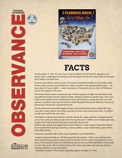 Image of 2020 Multicultural Mini Facts Poster
